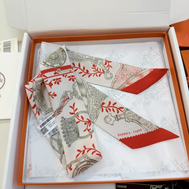 GoAnywhere 8760 Hermes Silk Scarf