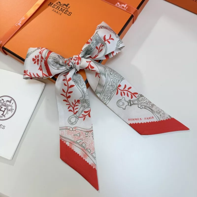 GoAnywhere 8760 Hermes Silk Scarf