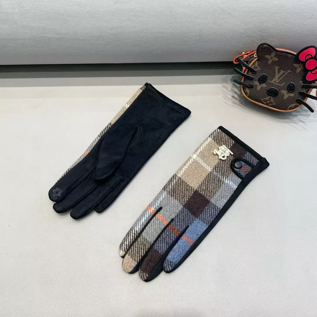 GoAnywhere 8893 Burberry Gloves