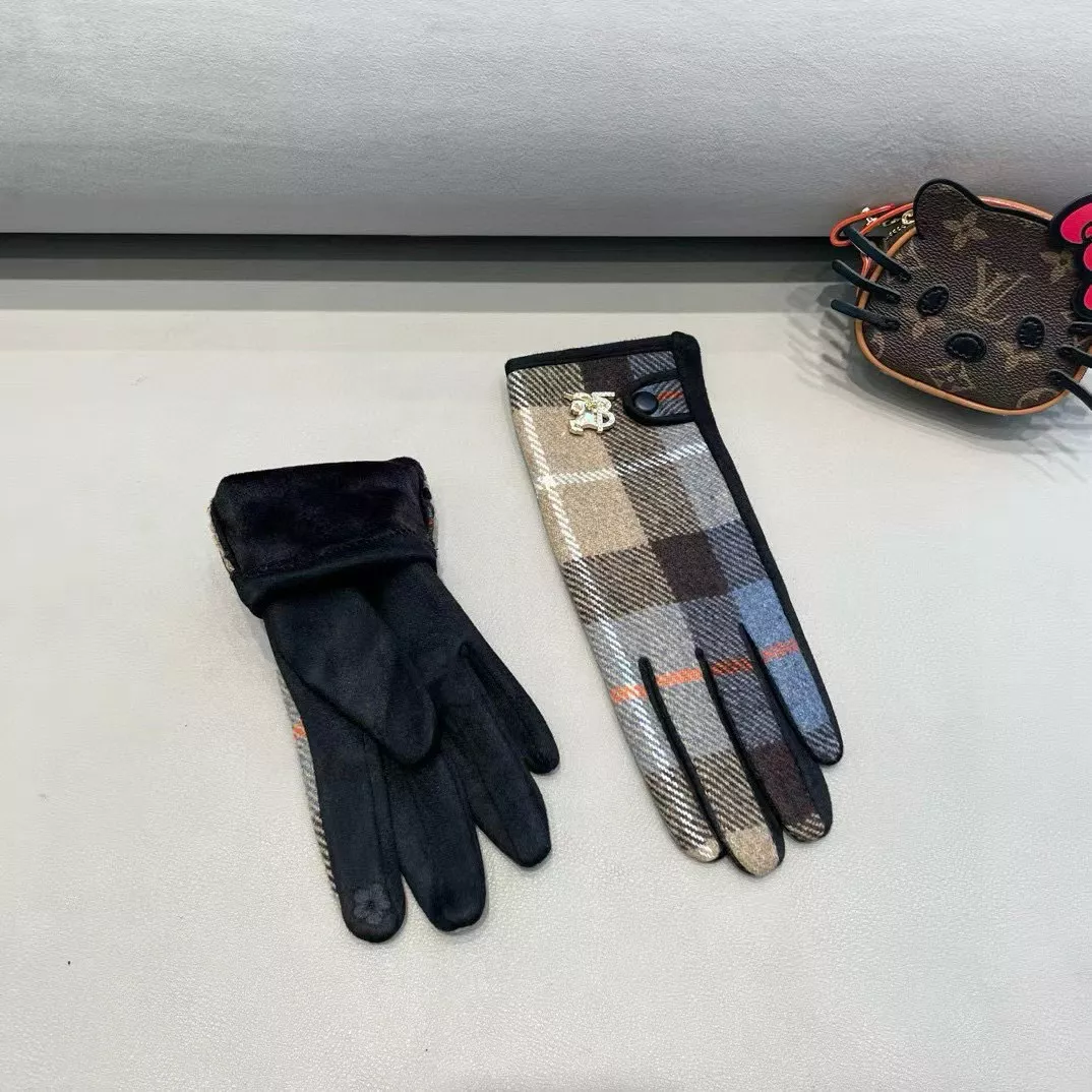 GoAnywhere 8893 Burberry Gloves