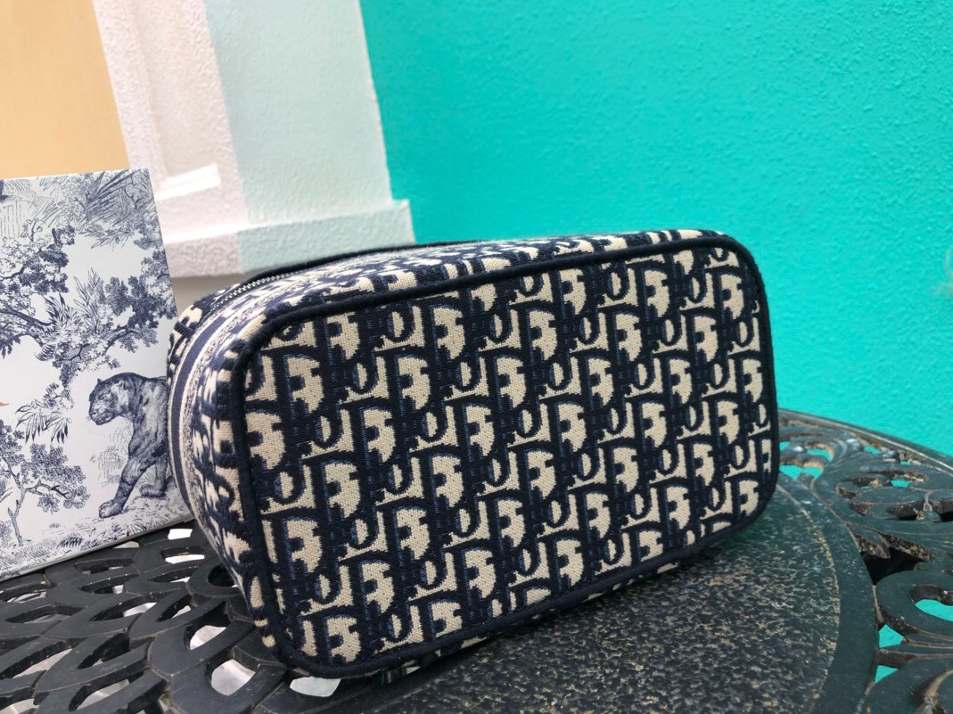 GoAnywhere 9491 Christian Dior AAA Handbags
