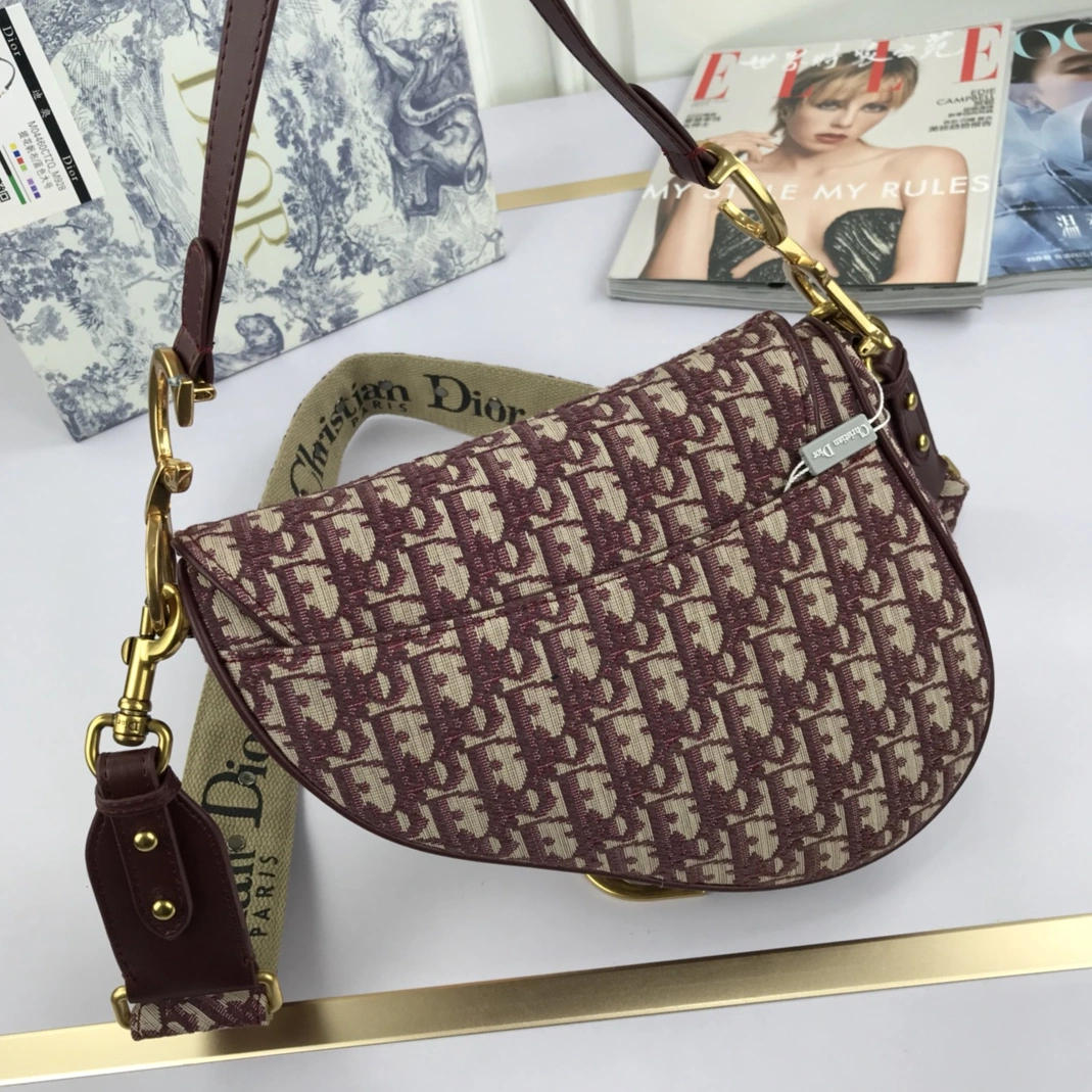 GoAnywhere 9549 Christian Dior AAA Quality Messenger Bags For Women