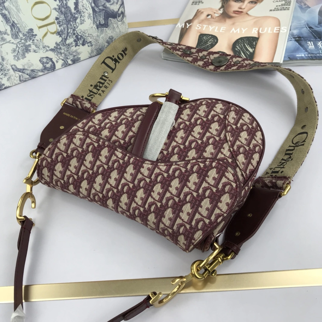GoAnywhere 9549 Christian Dior AAA Quality Messenger Bags For Women