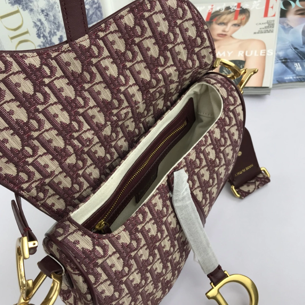 GoAnywhere 9549 Christian Dior AAA Quality Messenger Bags For Women