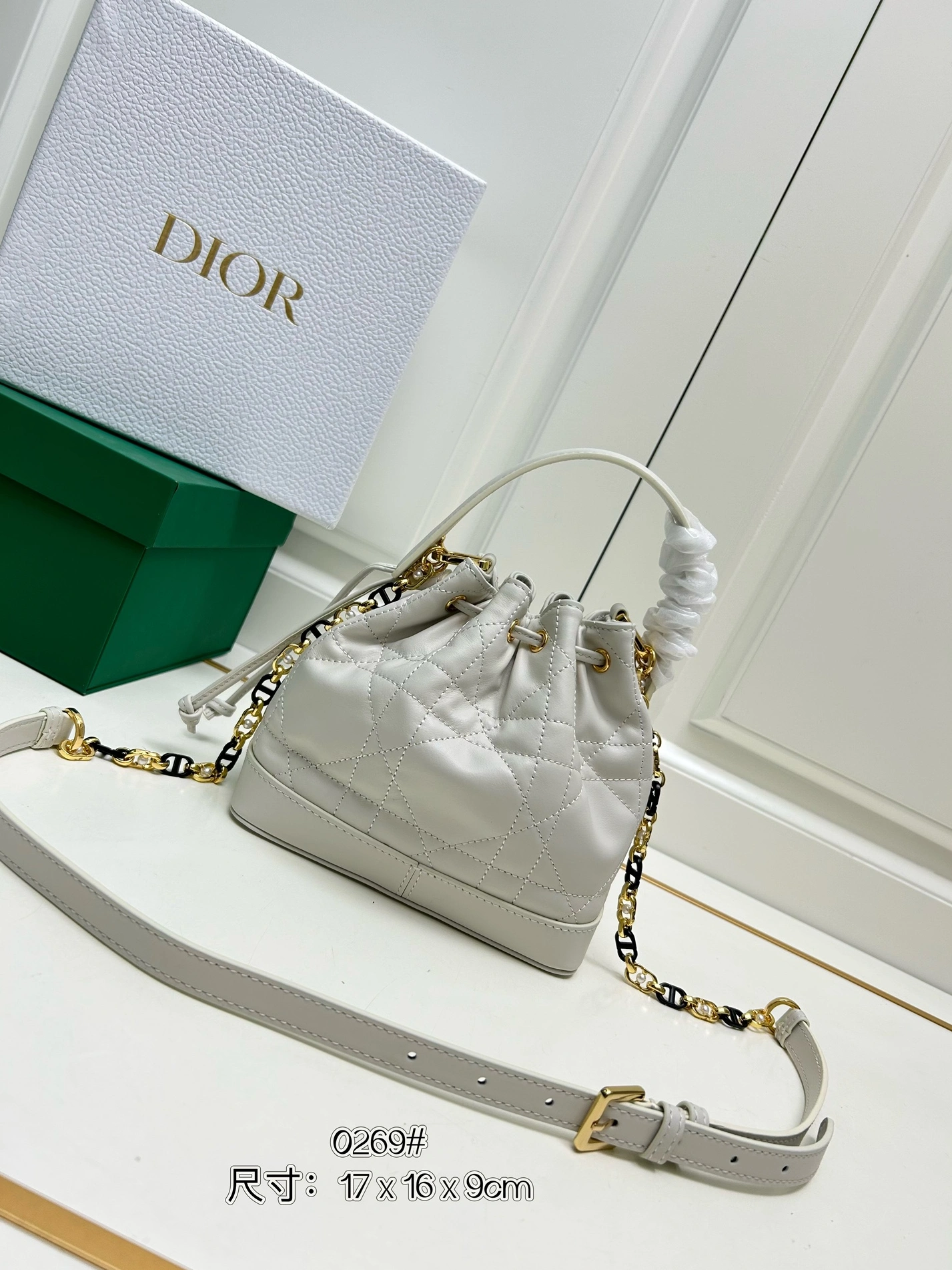 GoAnywhere 9819 Christian Dior AAA Quality Messenger Bags For Women