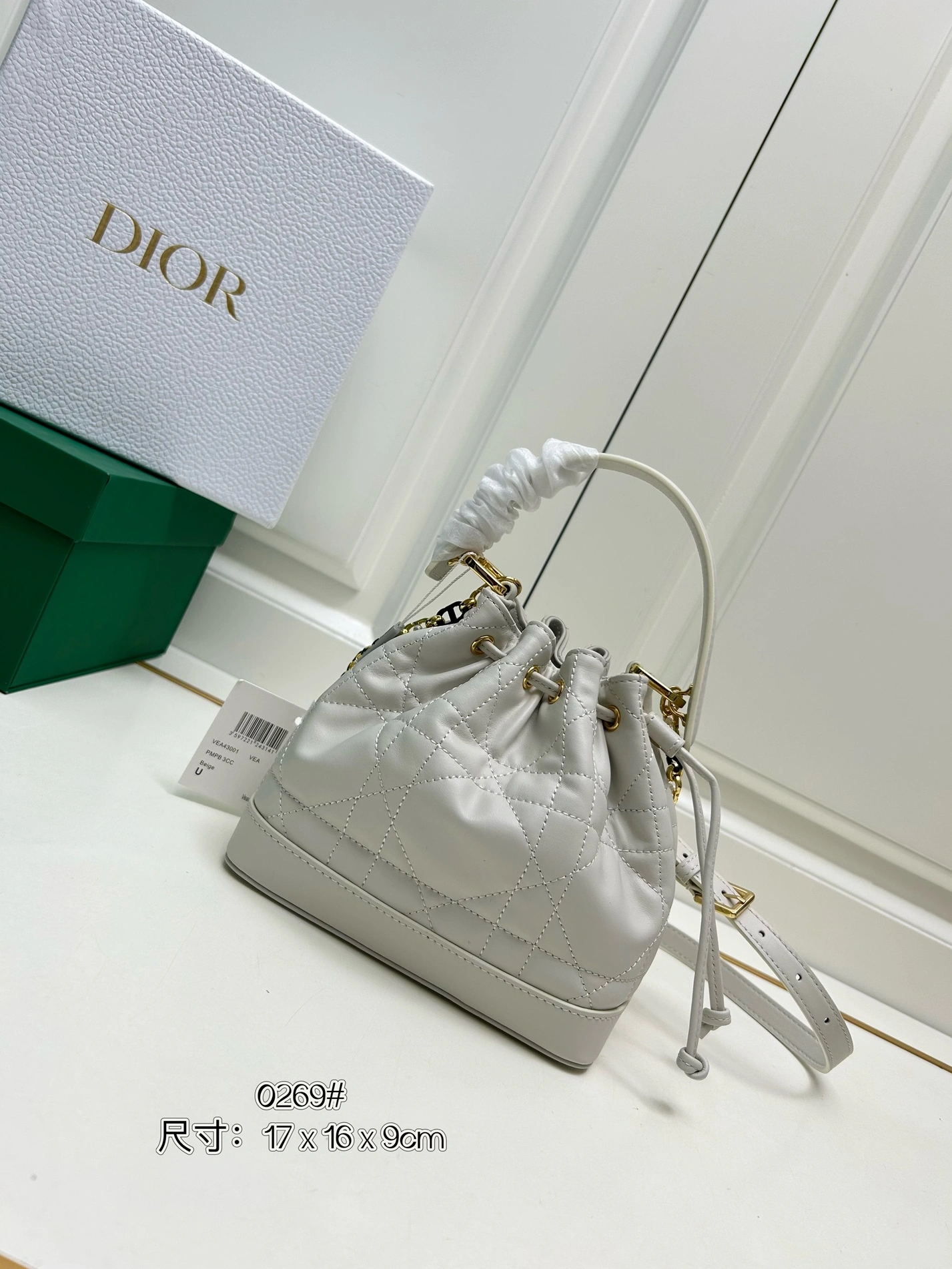 GoAnywhere 9819 Christian Dior AAA Quality Messenger Bags For Women