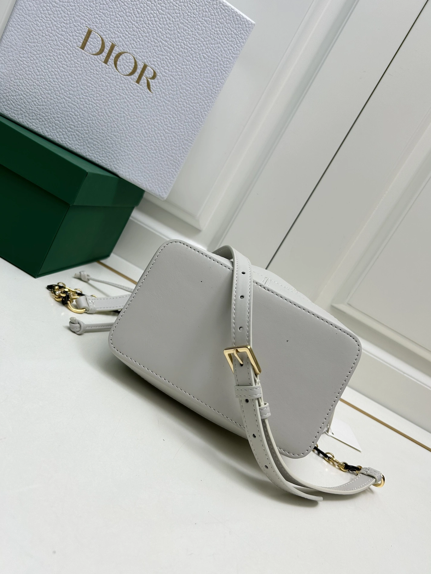 GoAnywhere 9819 Christian Dior AAA Quality Messenger Bags For Women
