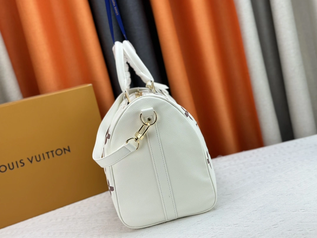 GoodFit 4334 Louis Vuitton Travel Bags