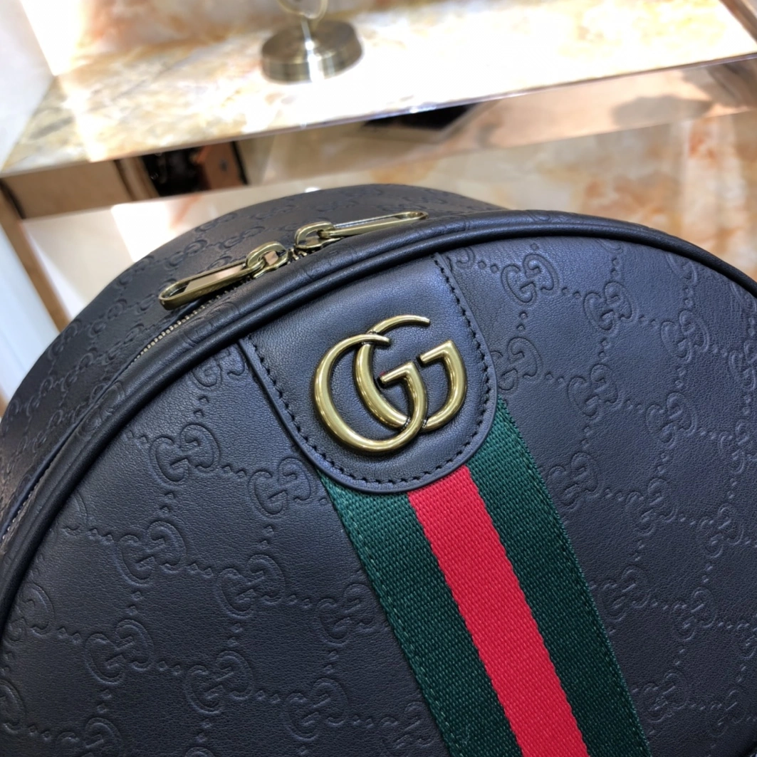 Gucci AAA Man Backpacks GoAnywhere 9391