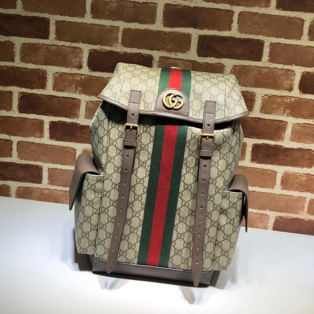 Gucci AAA Man Backpacks HighQuality 2604