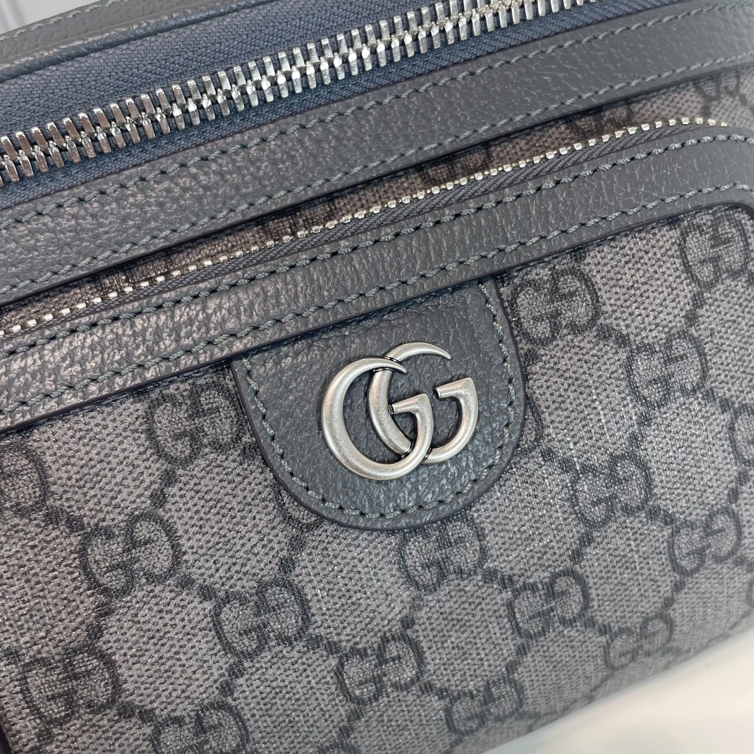 Gucci AAA Quality Belt Bags For Men Durable 3872