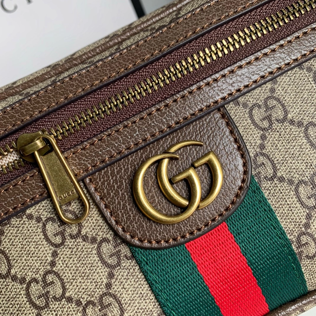Gucci AAA Quality Belt Bags Unique 3598