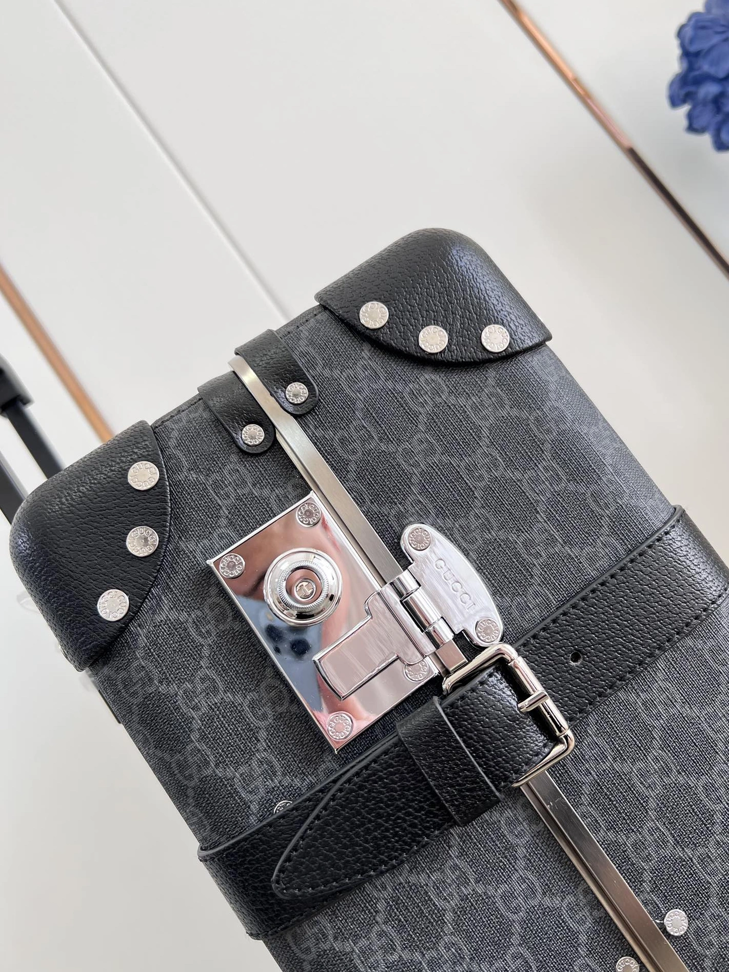 Gucci Luggage Efficient 679