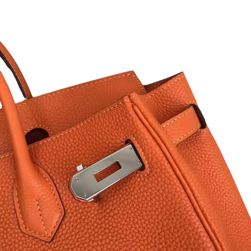 Hermes AAA Quality Handbags For Women Bright 282
