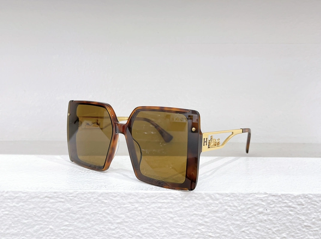 Hermes AAA Quality Sunglasses SportInspired 260
