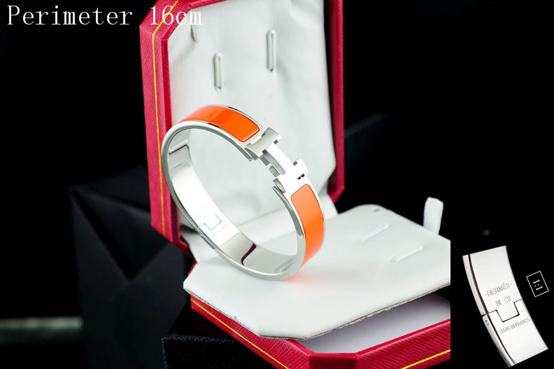 Hermes Bracelet WellDesigned 6090