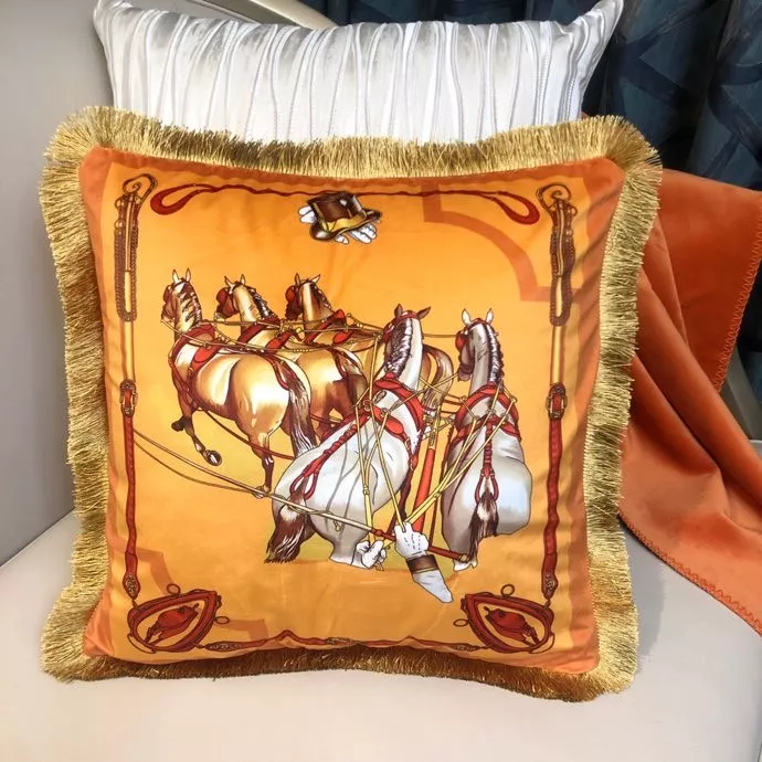 Hermes Cushion AllSeason 5890