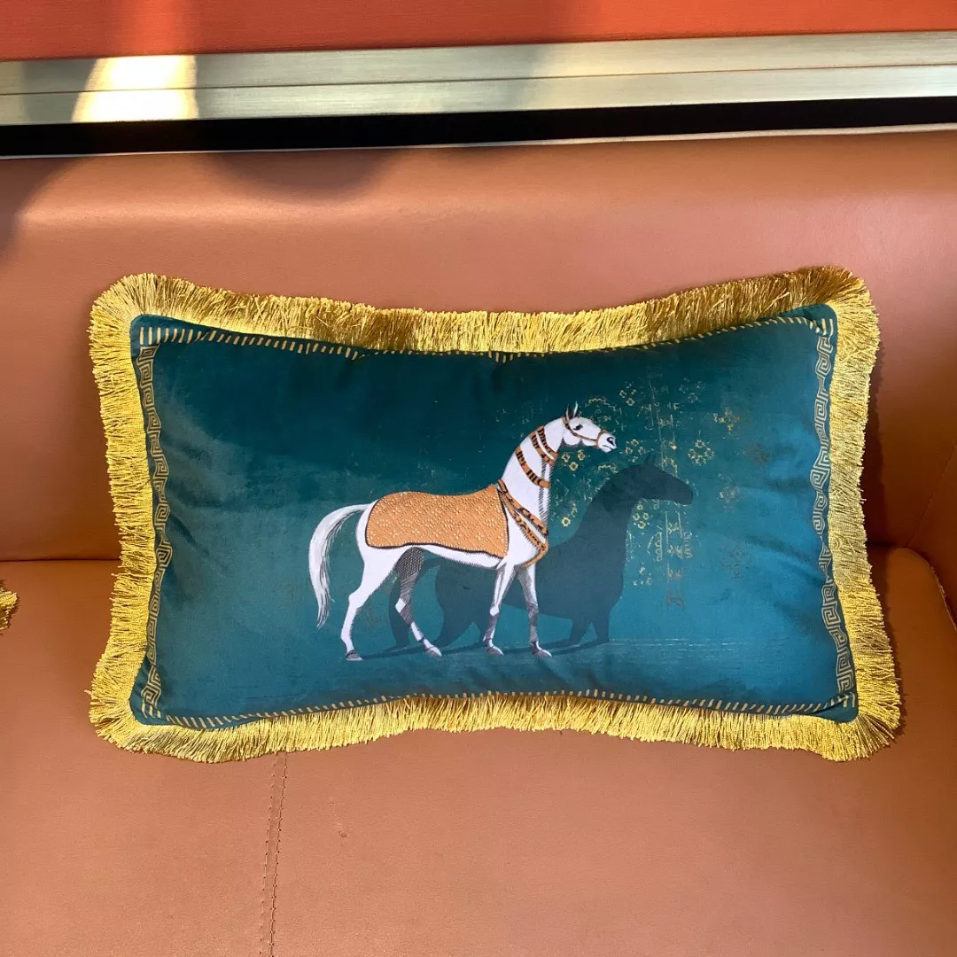 Hermes Cushion Functional 5188