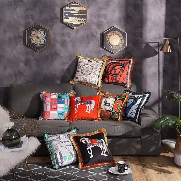 Hermes Cushion Modern 5243