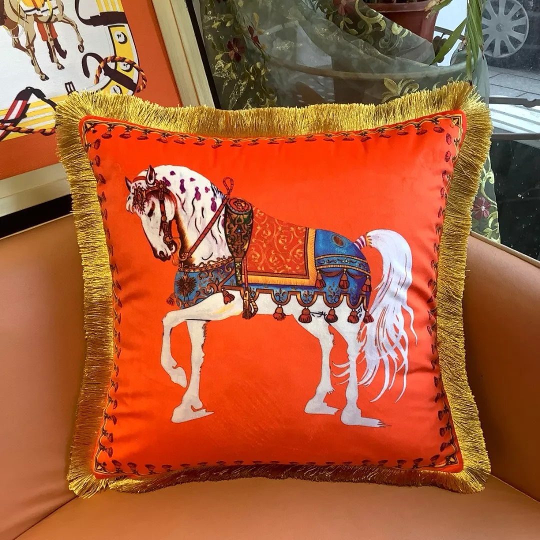 Hermes Cushion Popular 5552