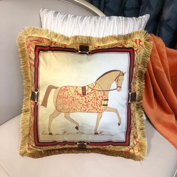 Hermes Cushion Practical 5624