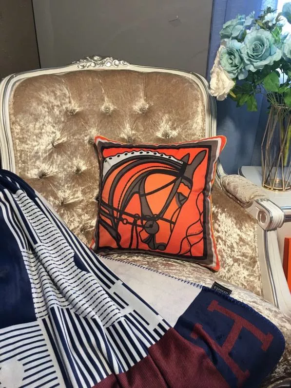 Hermes Cushion Trendy 8312