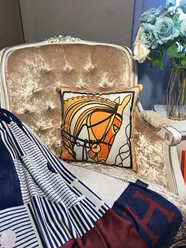Hermes Cushion Versatile 7014