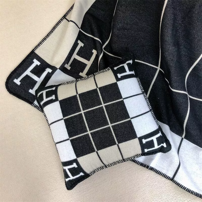 Hermes Cushion Vibrant 284