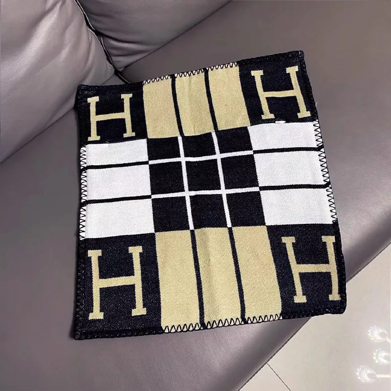 Hermes Cushion Vibrant 284