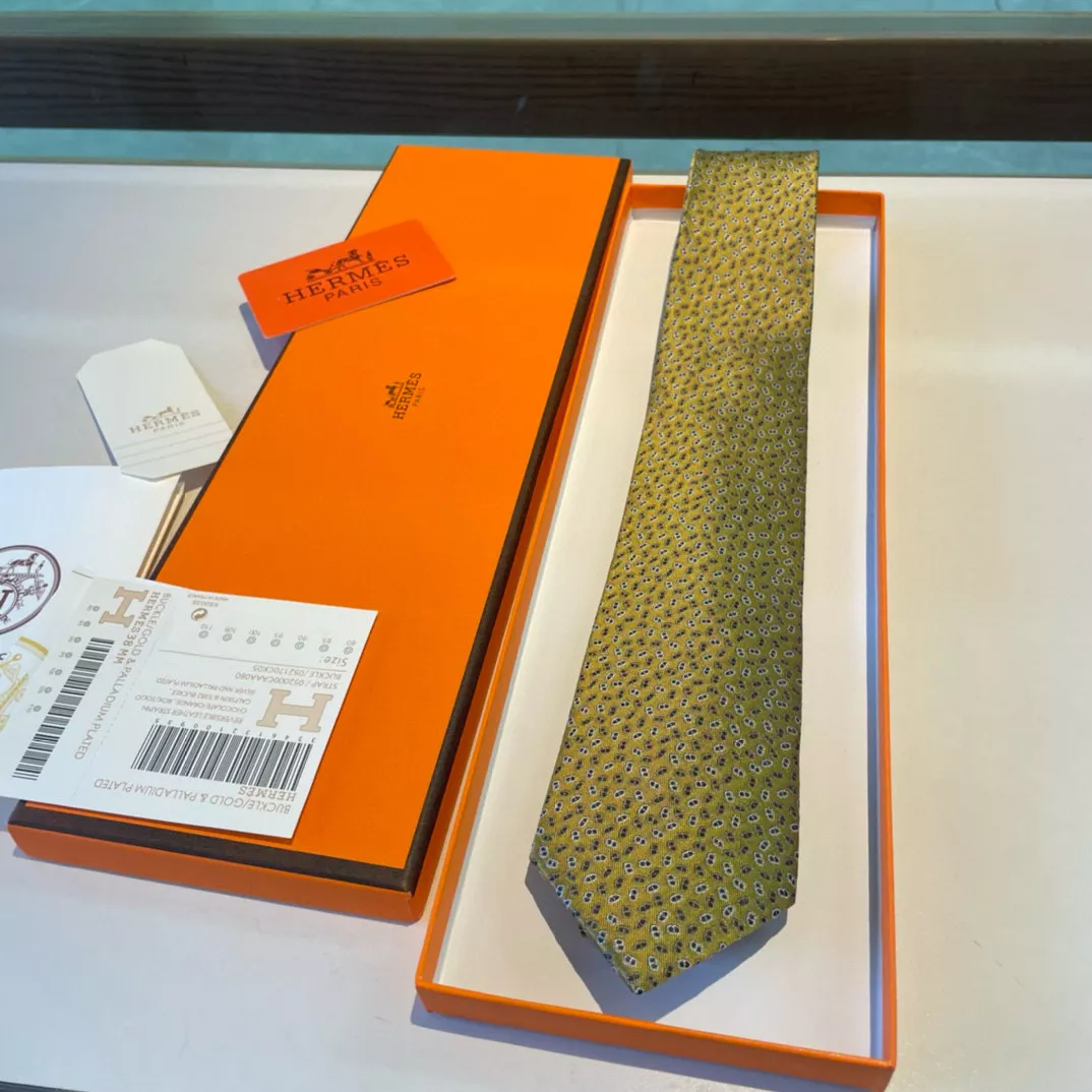 Hermes Necktie Flexible 5538