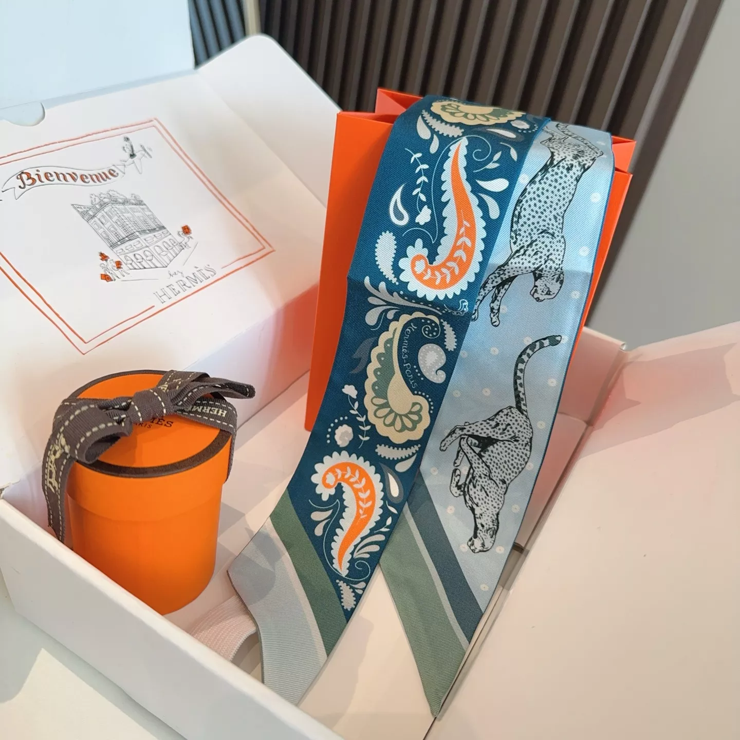 Hermes Silk Scarf Resilient 1905
