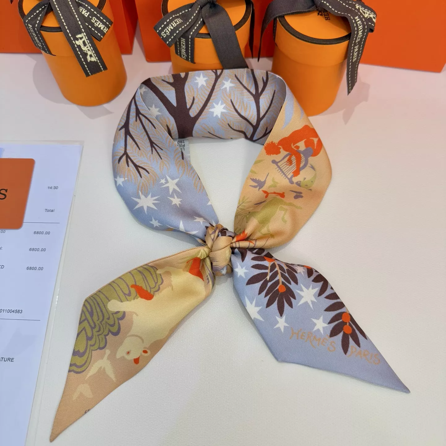 Hermes Silk Scarf Sophisticated 7255