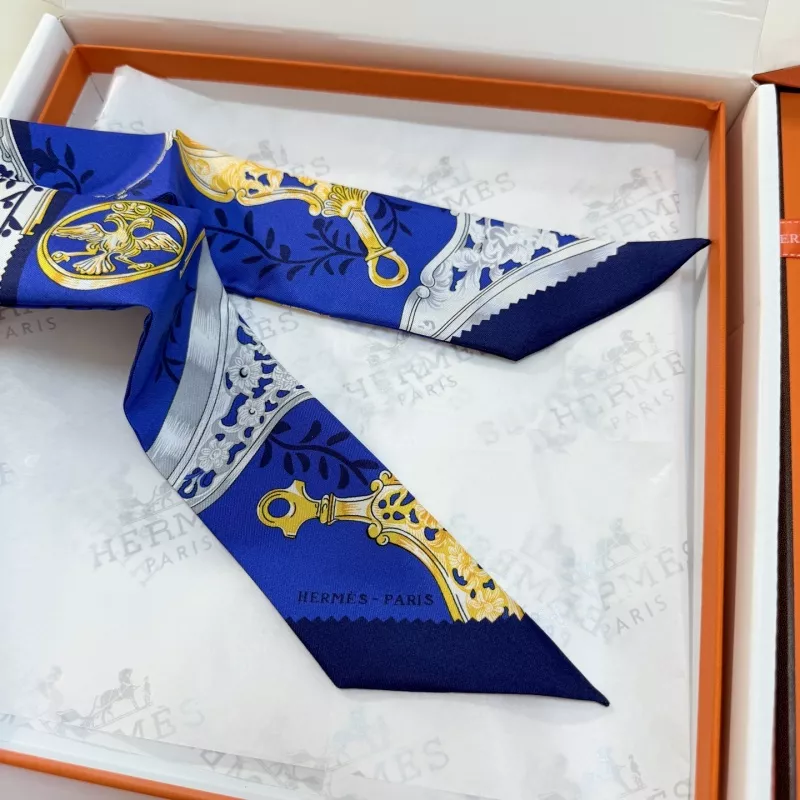 Hermes Silk Scarf StreetReady 3020
