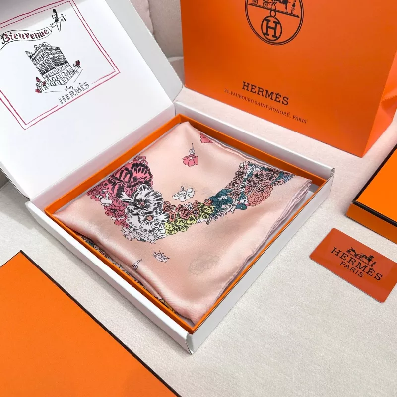 Hermes Silk Squares Bold 5591