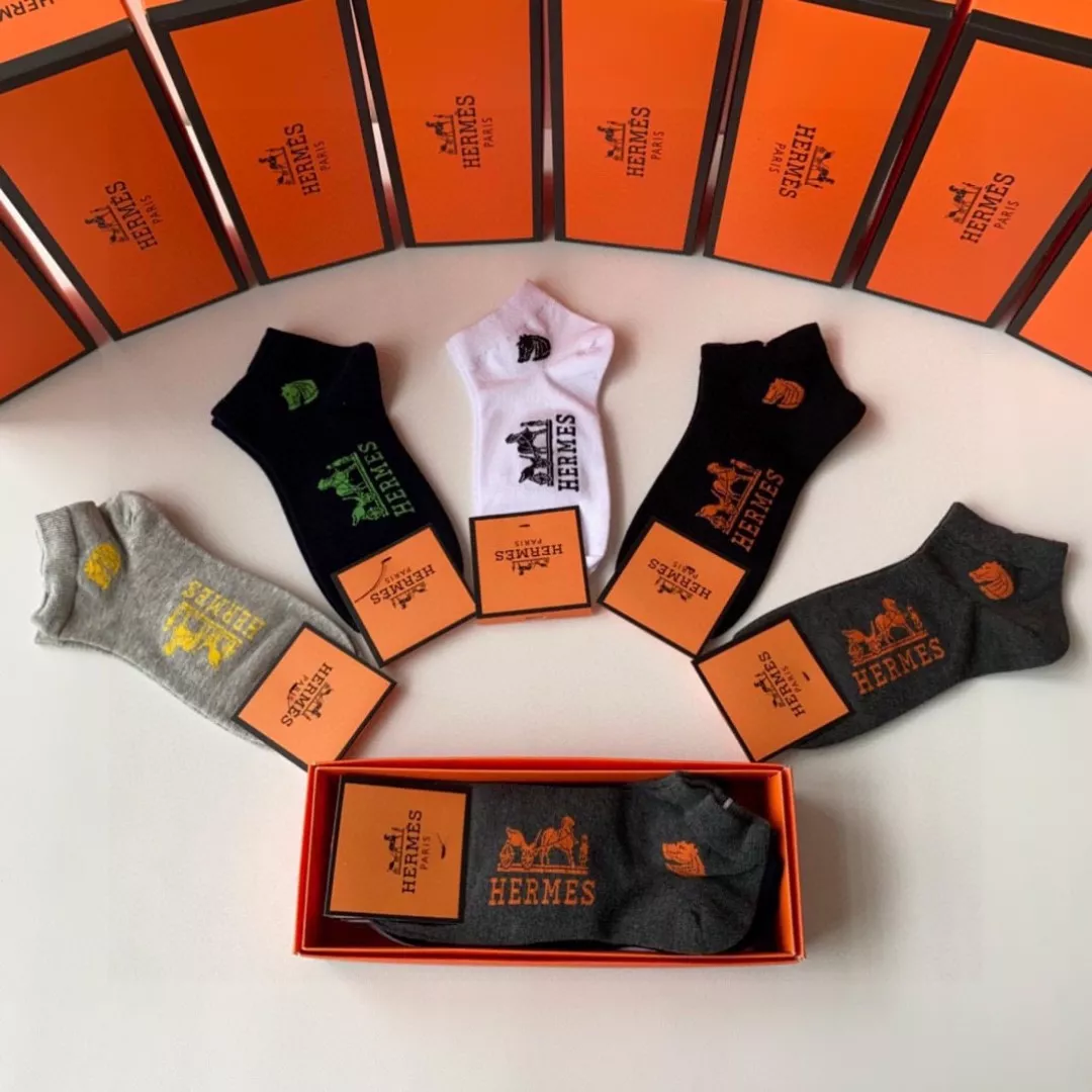 Hermes Socks Bold 9331