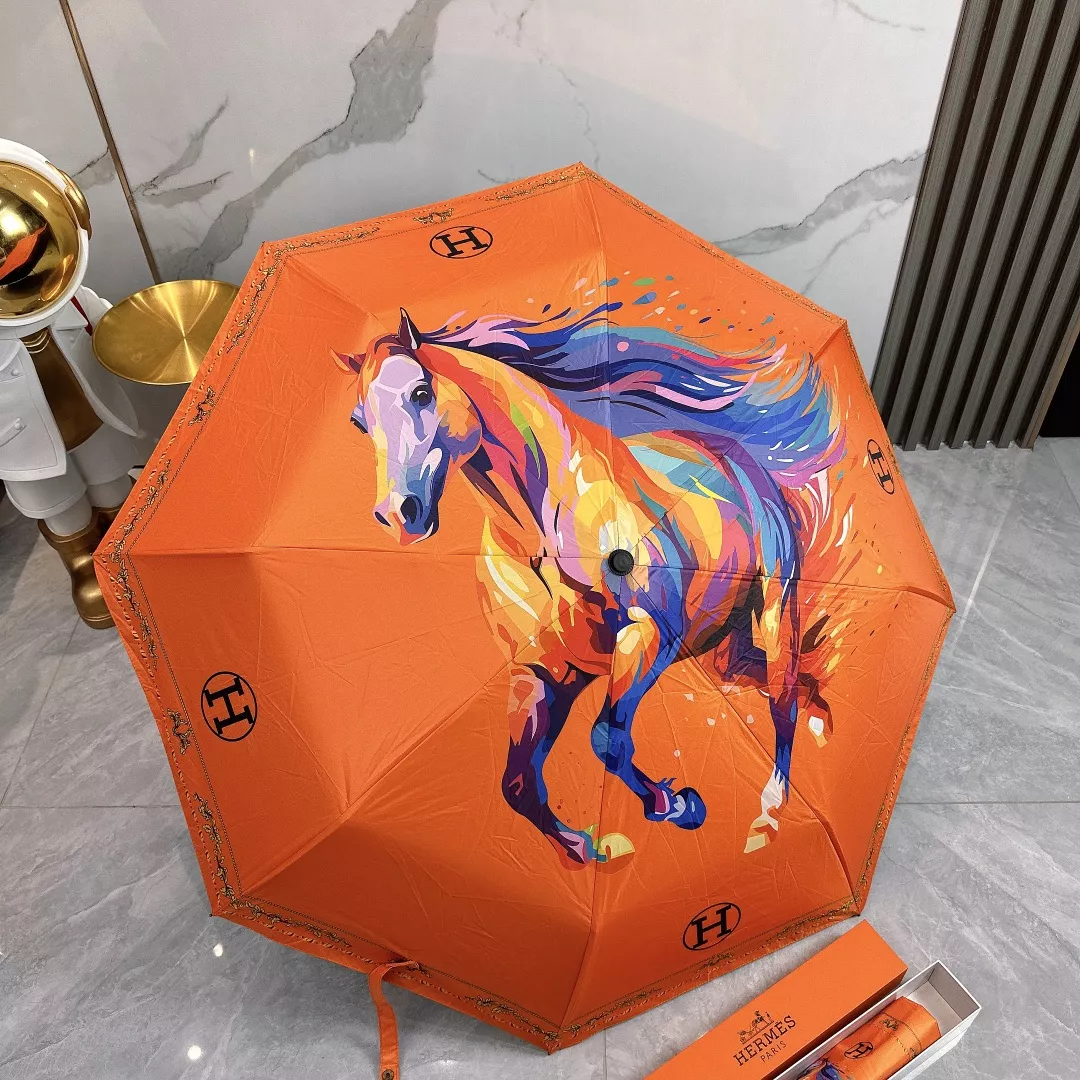 Hermes Umbrellas Flexible 1471
