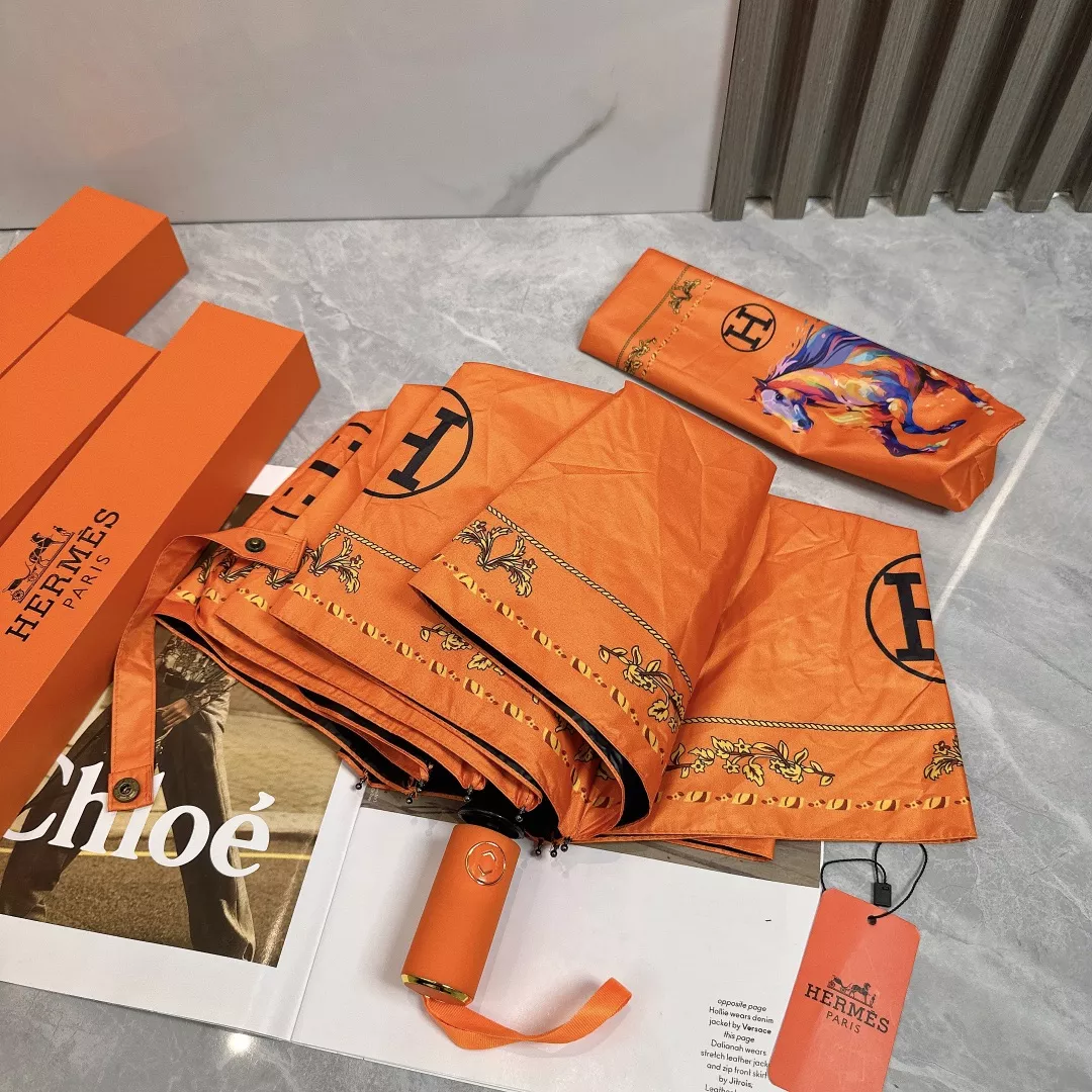 Hermes Umbrellas Flexible 1471