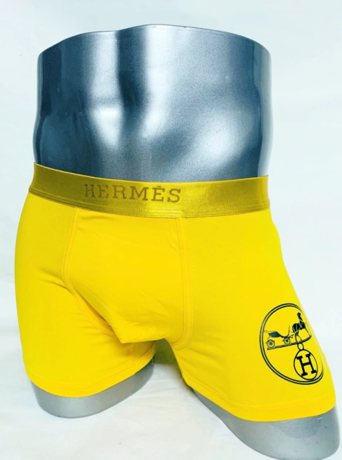 Hermes Underwears For Men Unique 8885