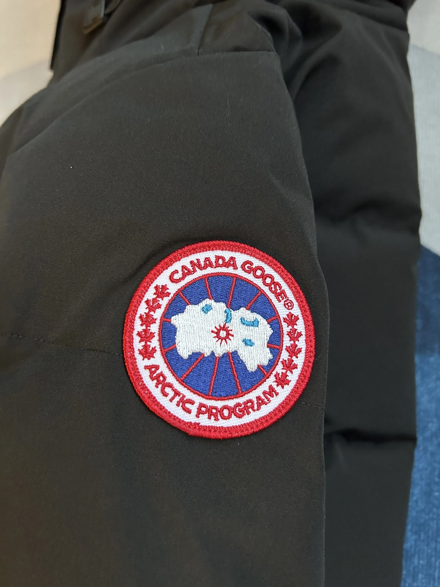 HighQuality 3031 Canada Goose Down Feather Coat Long Sleeved For Women