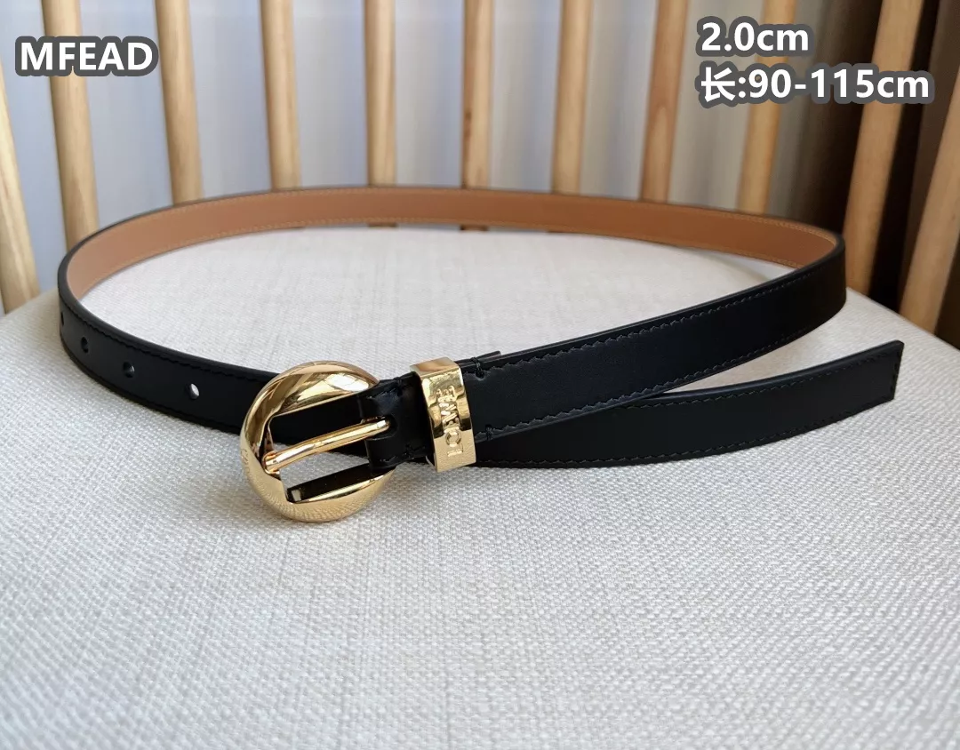 LOEWE AAA Quality Belts For Women Durable 4915