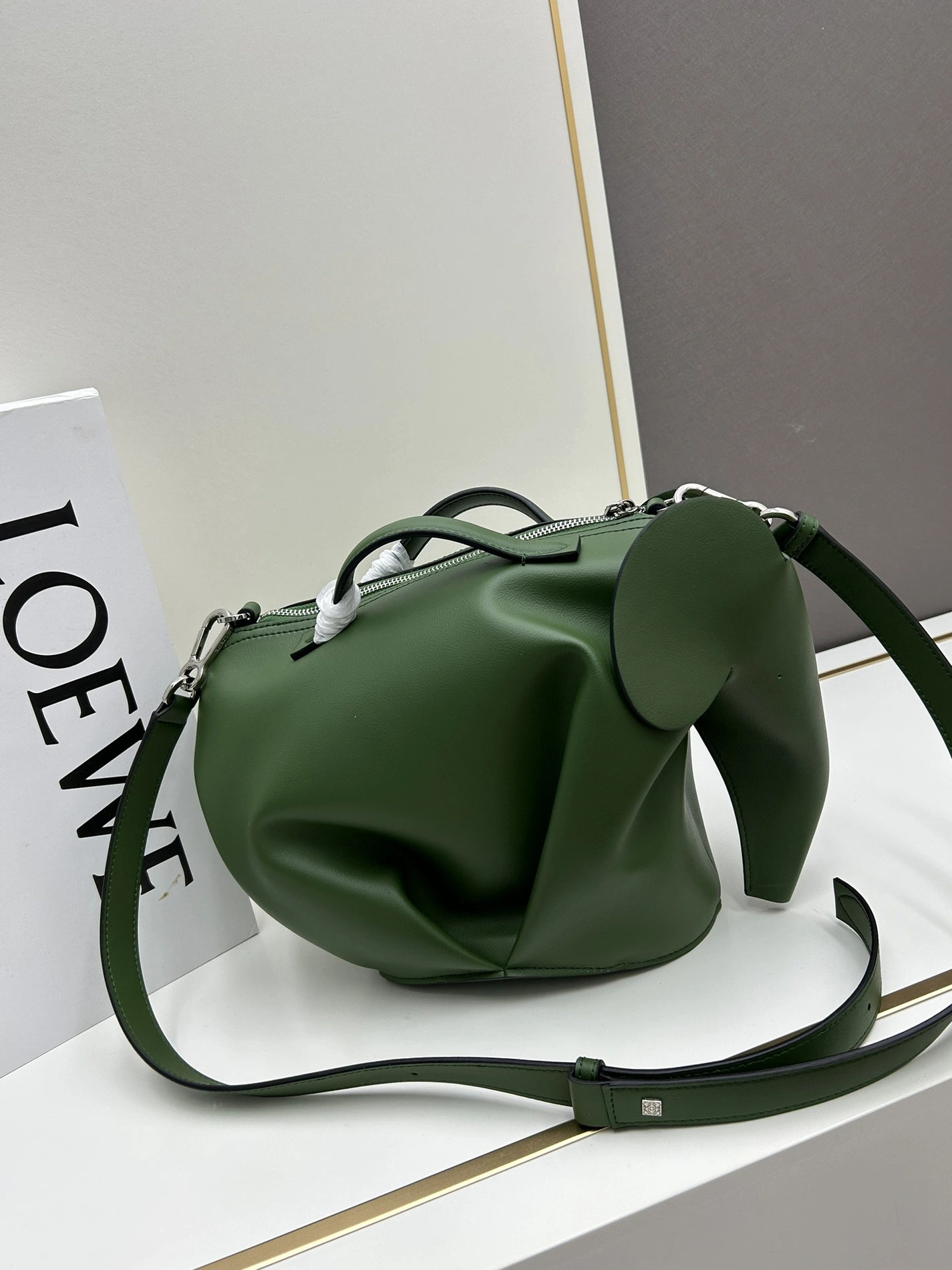 LOEWE AAA Quality Handbags For Women GoodFit 6638