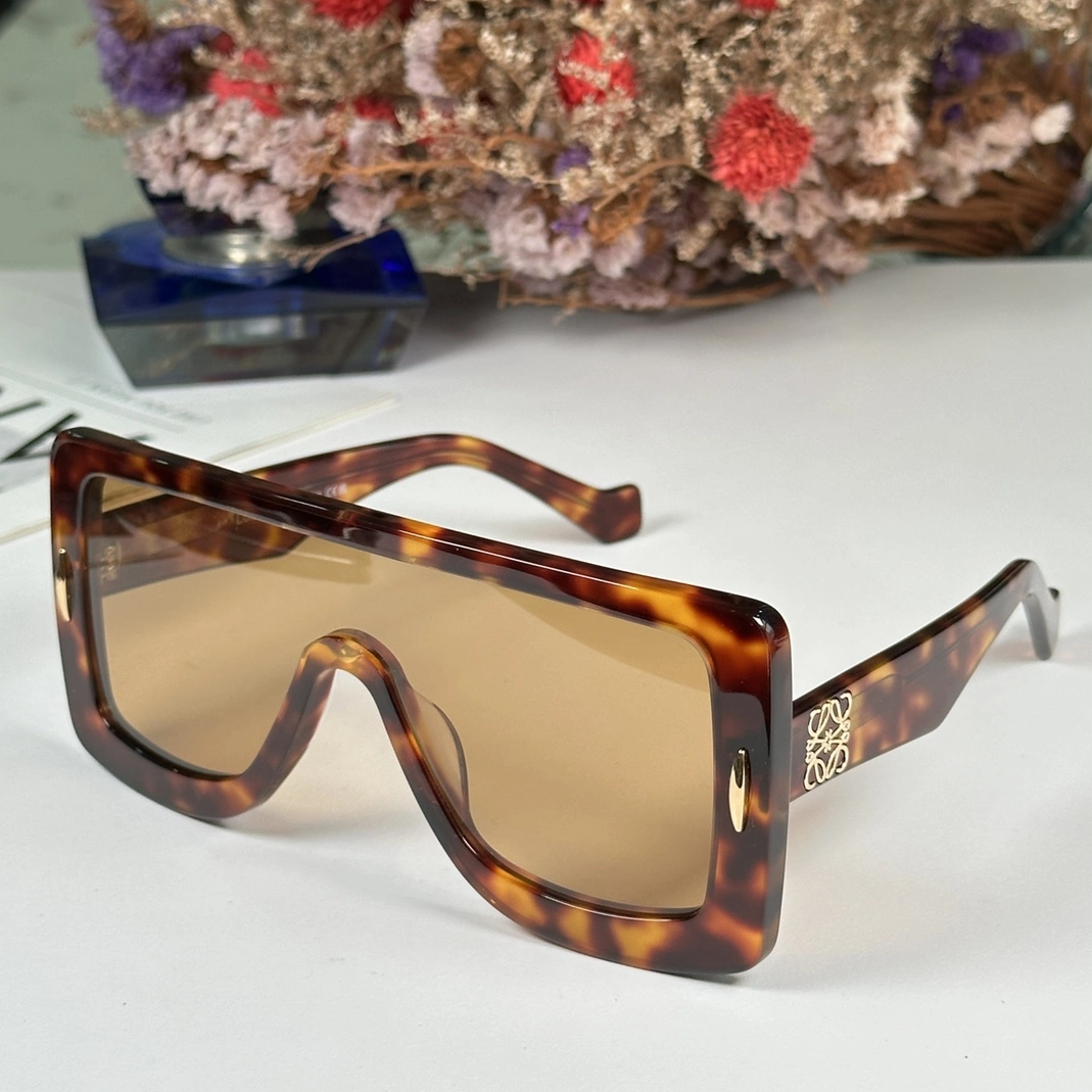 LOEWE AAA Quality Sunglasses AllSeason 4496