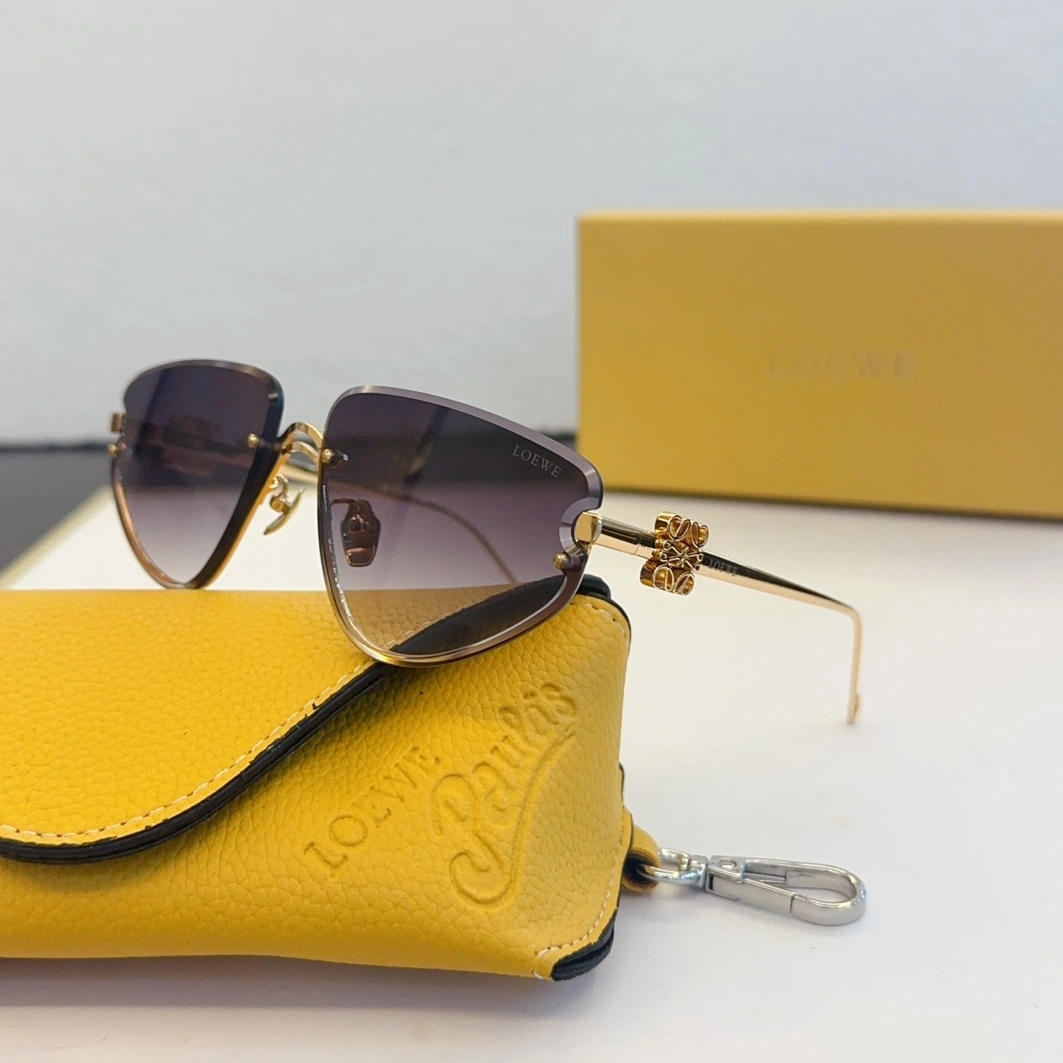 LOEWE AAA Quality Sunglasses DailyWear 2856