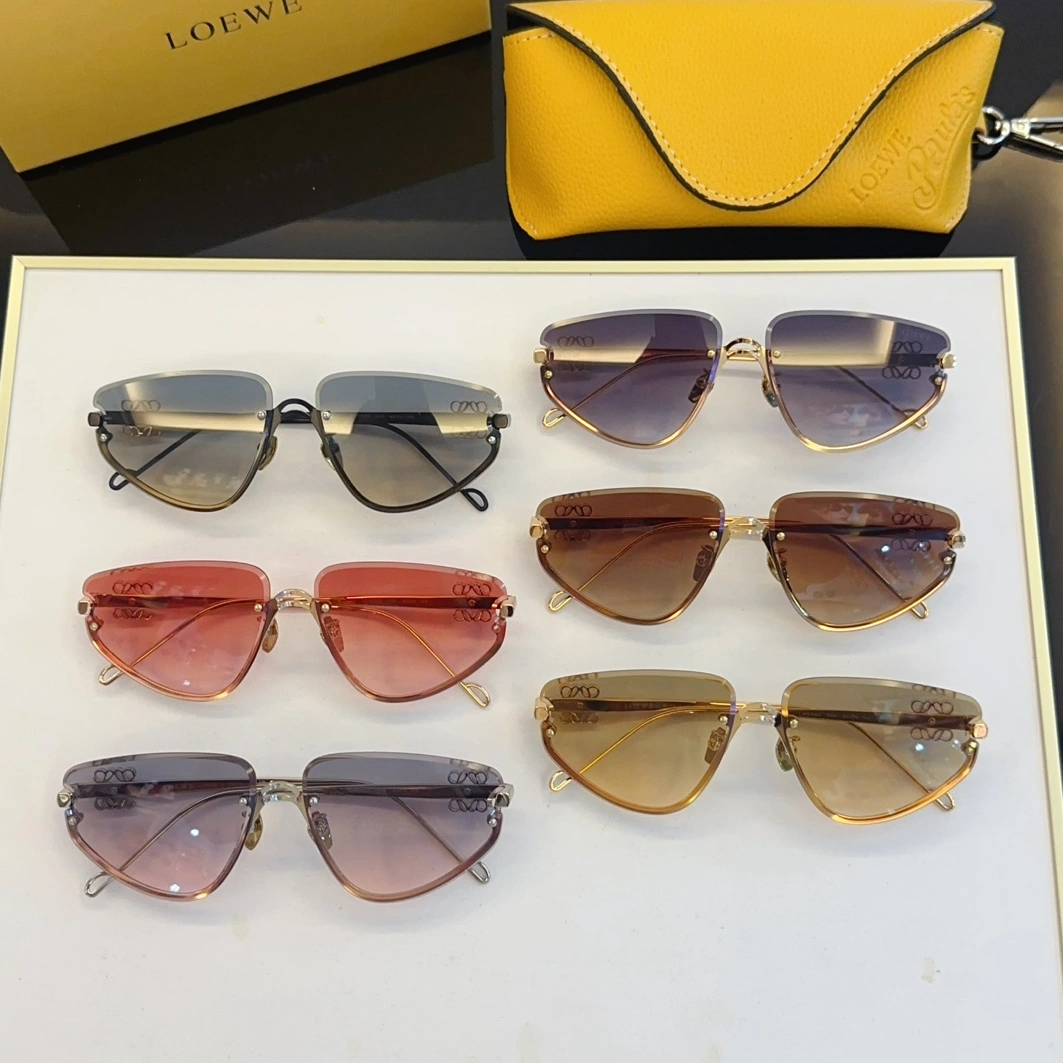 LOEWE AAA Quality Sunglasses DailyWear 2856