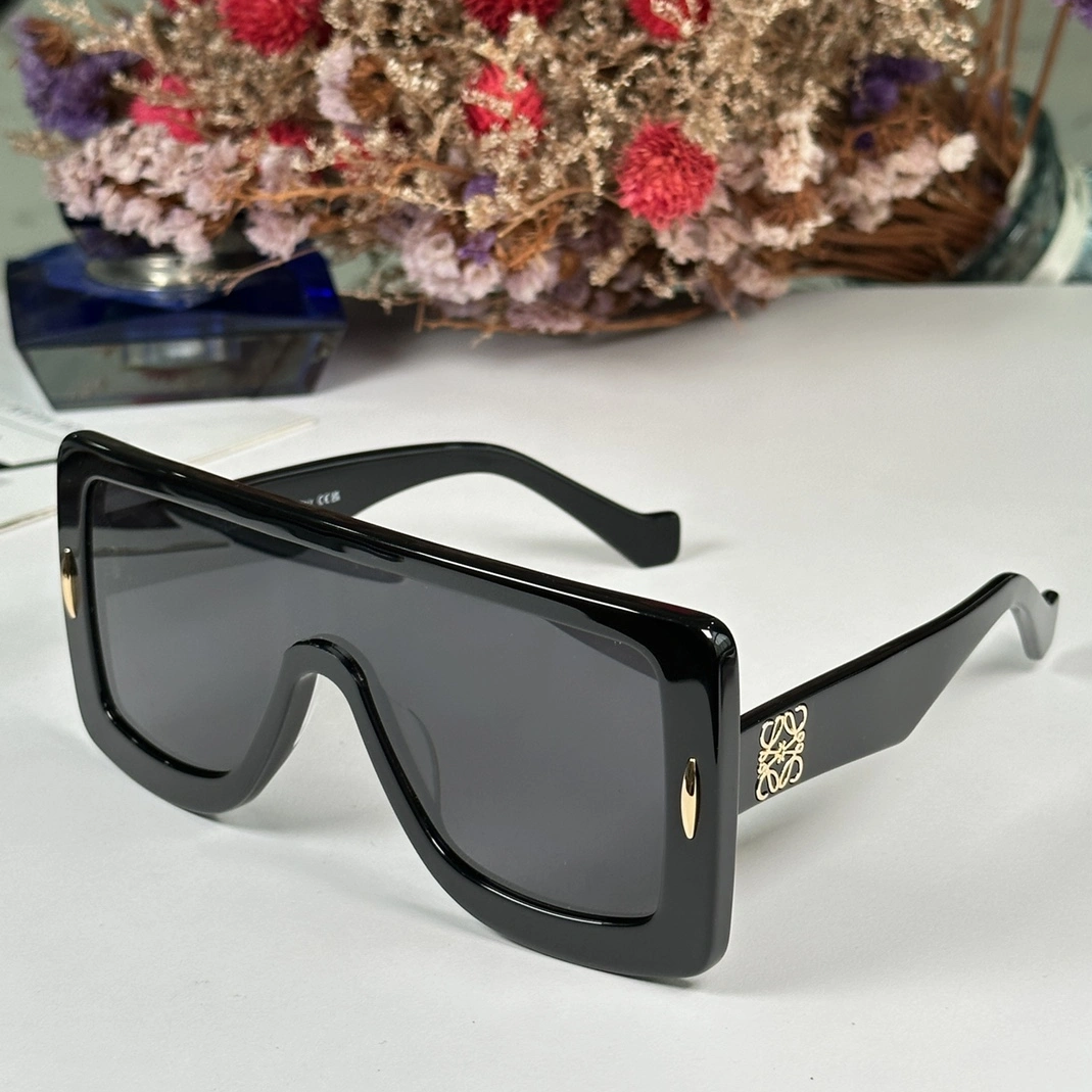 LOEWE AAA Quality Sunglasses Stylish 6860
