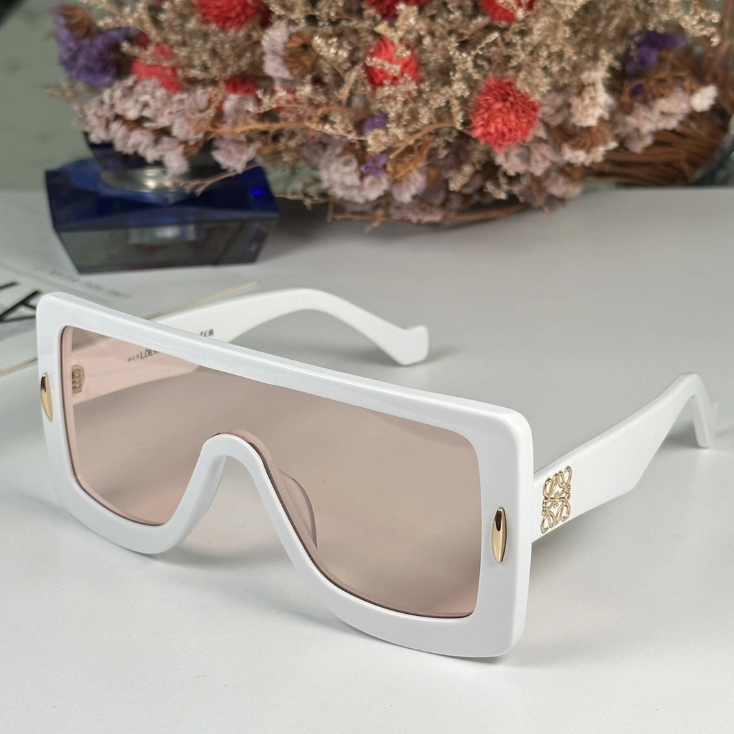 LOEWE AAA Quality Sunglasses Timeless 2463