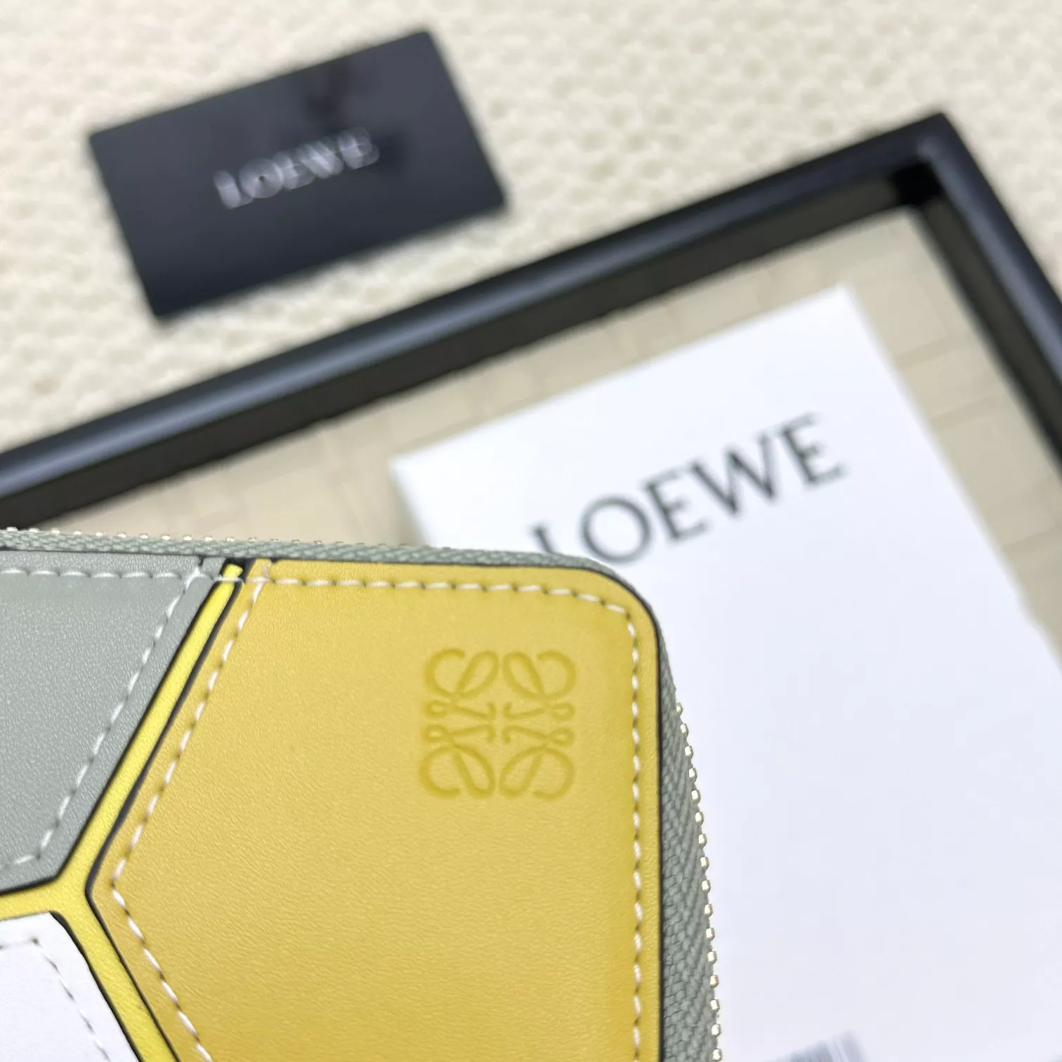 LOEWE Card Case AllSeason 5574