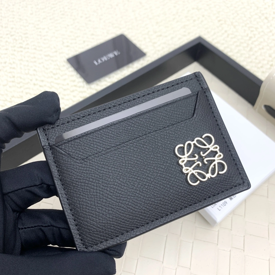 LOEWE Card Case GoAnywhere 484