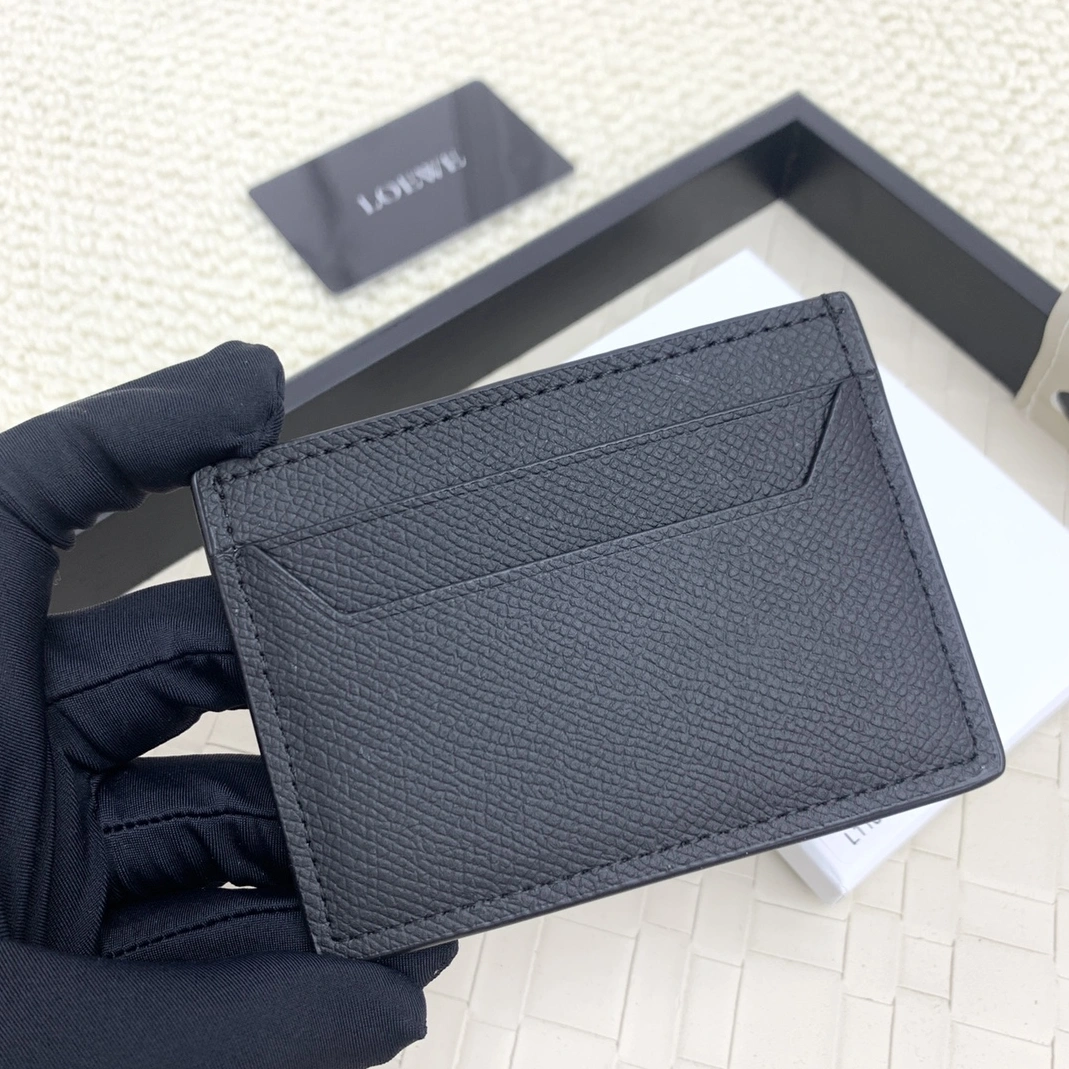LOEWE Card Case GoAnywhere 484