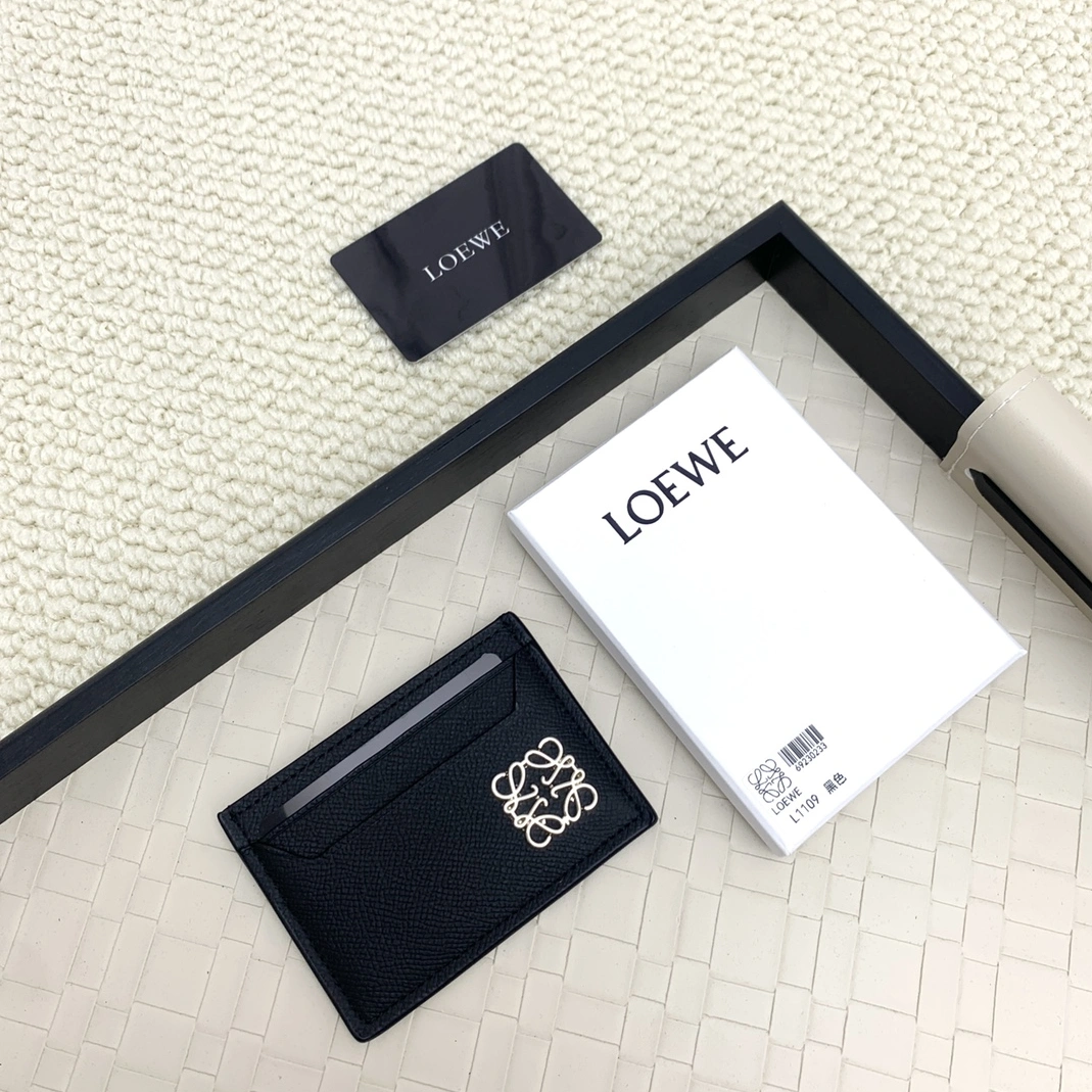 LOEWE Card Case GoAnywhere 484